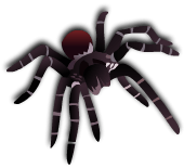 Spider Solitaire 3.9.8.3 Free Download